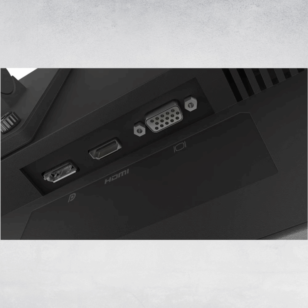 ThinkVision E24-29 - port