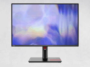 Lenovo ThinkVision T24-4v Monitor